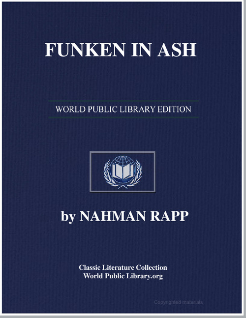 Funken in Ash Lider by Rapp, Naman