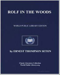 Rolf in the Woods by Seton, Thompson